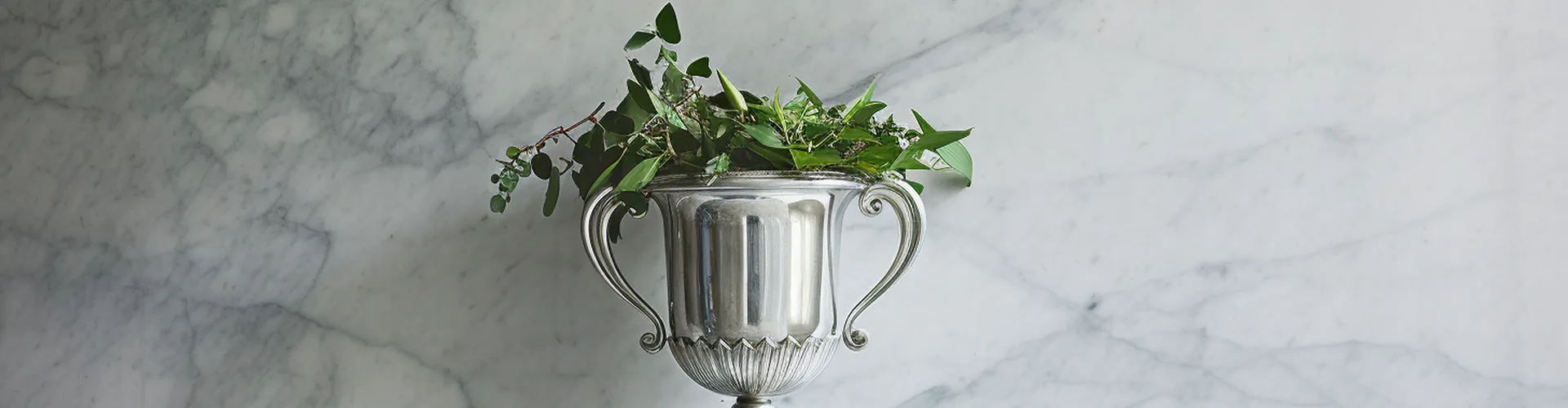 <br />
<b>Warning</b>:  Undefined variable $page_banner in <b>/www/wwwroot/bnpanel.com/wp-content/themes/hyhadmin/search.php</b> on line <b>6</b><br />
<br />
<b>Warning</b>:  Trying to access array offset on null in <b>/www/wwwroot/bnpanel.com/wp-content/themes/hyhadmin/search.php</b> on line <b>6</b><br />
