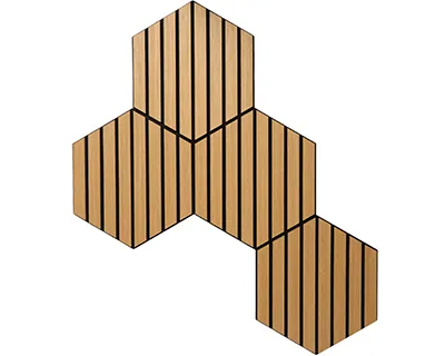 Hexagon-acoustic-pane